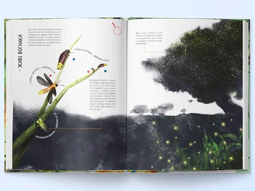 Комахи на всі 100% - фото 3