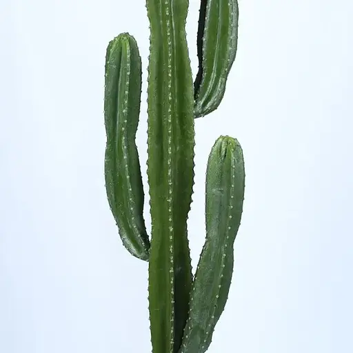 Искусственное растение Engard Cactus 155 см (TW-40) - фото 4
