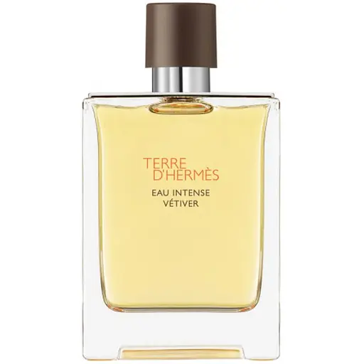 Парфумована вода тестер Hermes Terre d'Hermes Eau Intense Vetiver 200 мл - фото 1