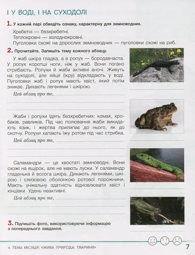 Зошит дослідника. 3 клас. Частина 2. До підручника Іщенко О. Л. та ін. - фото 7