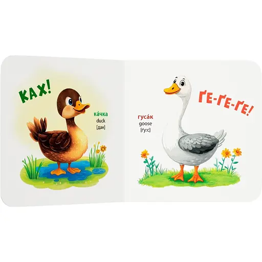 Книга Розглядайка-розвивайка. Тварини - Катерина Столяренко (F00032472) - фото 4