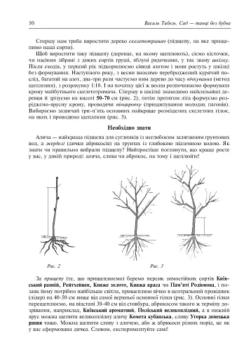 Сад – танці без бубна - фото 9