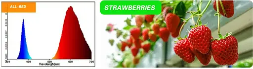 Світильник для рослин Brille FLF-09 LED 9W Fito Grow All Red - фото 9
