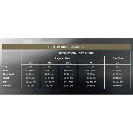 Міні-сукня сітка Penthouse Above & Beyond Black XL - фото 4