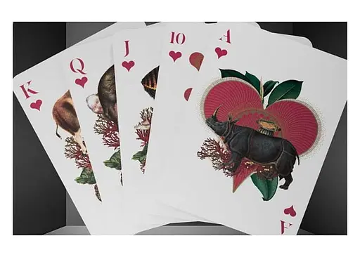 Карти гральні United States Playing Card Company Theory11 Moooi Extinct Animals (limited edition) (ВР_КИТМЕЕ) - фото 4