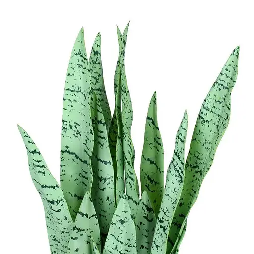 Штучна рослина Sansevieria 65 см (DW-11) - фото 2