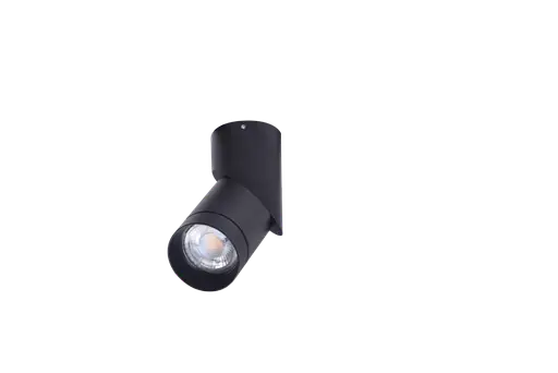 Спот SANTOS AZ4201 Azzardo - фото 1