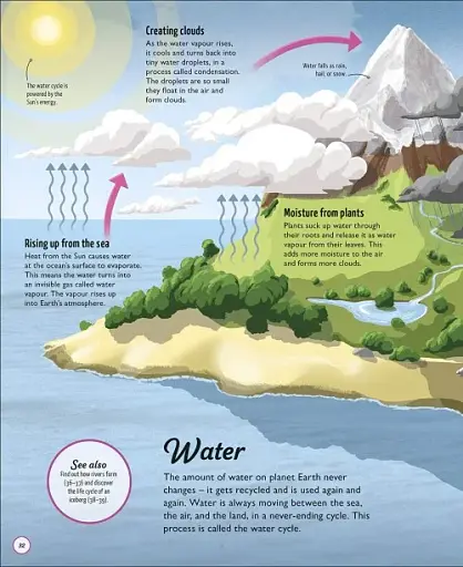 Life Cycles. Everything from Start to Finish - фото 2