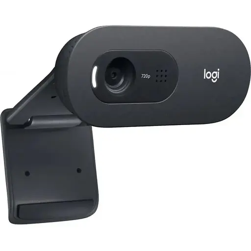 Веб-камера Logitech C505e HD (960-001372) - фото 3