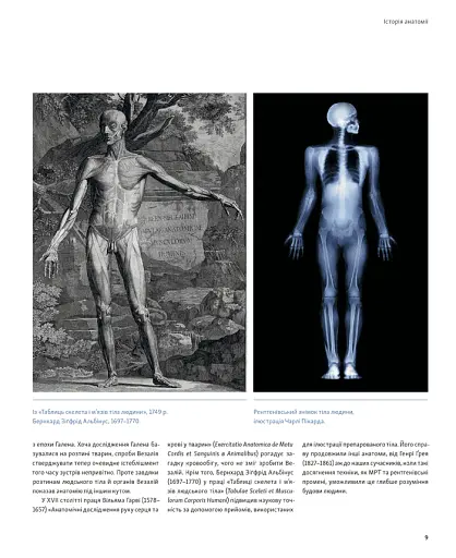Анатомія для художників. Наочний посібник із зображення людського тіла - фото 4