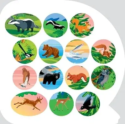 Пізнавальні наліпки. Тварини Північної Америки - фото 6