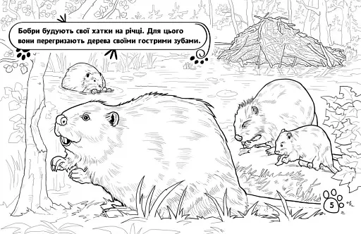 Розмальовка з тваринами. Тварини в лісі - фото 4