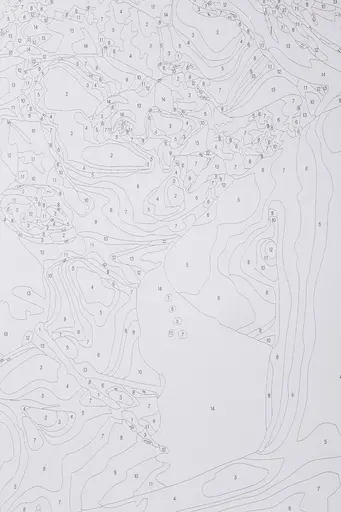 Набір для розпису по номерах "Пристрастна пара" 40*50 см, IDEA2-GX45806, ТМ "99IDEAS" - фото 7