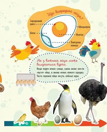 Чомусики. Тварини - фото 3