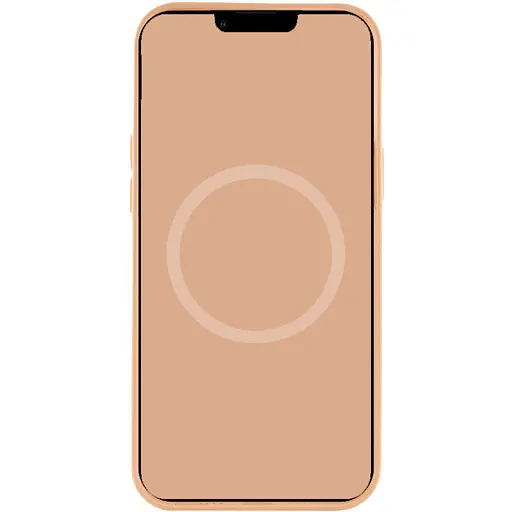 Чехол Epik Silicone case AAA with Magsafe and Animation для Apple iPhone 15 Pro 6.1 Оранжевый/Orange Sorbet - фото 3