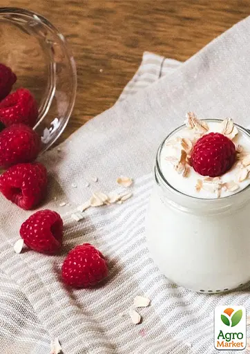 Малина Agro-Market "Недосягаемая" (ремонтантный зимостойкий крупноплодный сорт) 1-летний саженец (189503) 1 шт в упаковке - фото 3