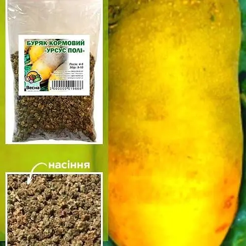 Свекла Кормовая "Урсус Поли" ТМ "Весна" 100г (15682) - фото 1