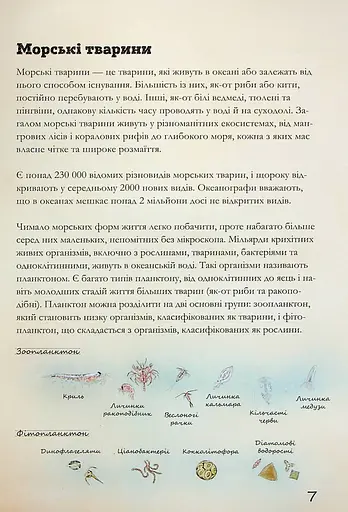 Морські тварини світу. Нотатки, малюнки та спостереження про тварин, що живуть в океані - фото 8