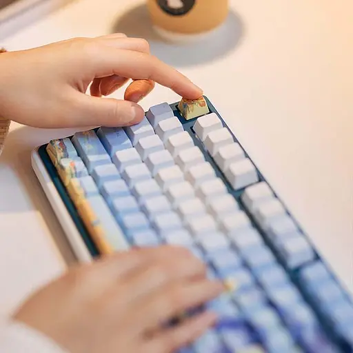 Набір кейкапів Varmilo 130Keys Van Gogh Cherry Profile Keycap Set (130K-110FA-R-V) - фото 2