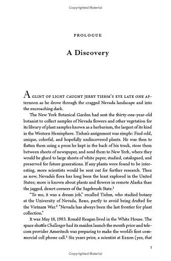 The War Below: Lithium, Copper, and the Global Battle to Power Our Lives - фото 6