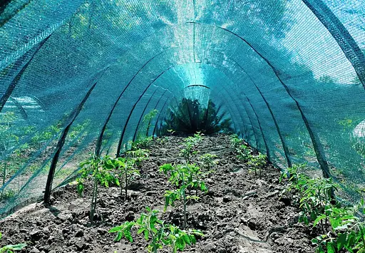 Накриття рослин від сонця Shadow BIG 8 м 160 х 120 см затінення 60% (НДРС0018)  - фото 5