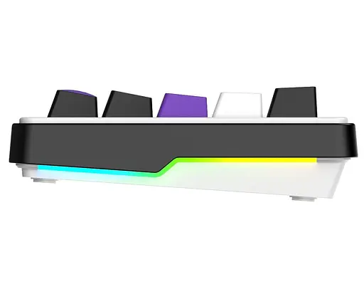 Клавіатура ігрова механічна HATOR HK-60-WV Hellyberry Switch USB White-Violet - фото 4