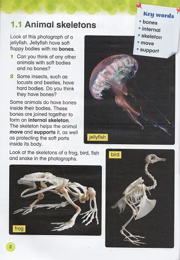 Collins International Primary Science 4 Student's Book - фото 3