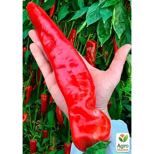 Перець гострий "Ацтек" ТМ "Весна"  2г (177675) - фото 2