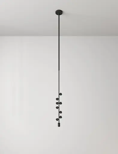 Підвісний стельовий світильник Babich Studio Eucalypt Black (RAL 9005) - фото 1