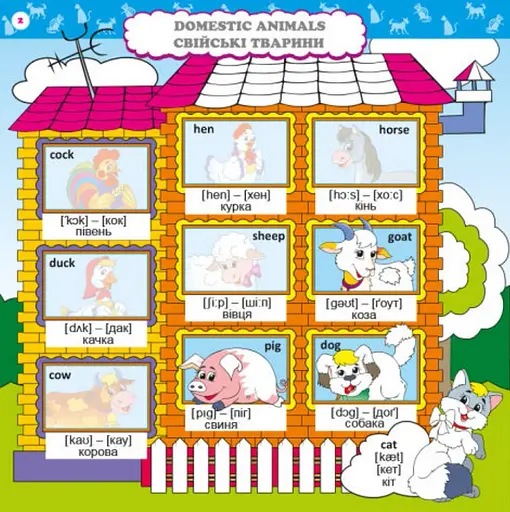 Розвивалочка. Вивчаємо English - фото 2