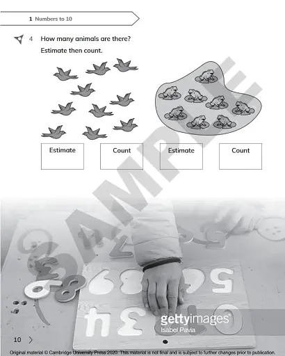 Cambridge Primary Mathematics 1. Workbook with Digital Access (1 Year) - фото 7