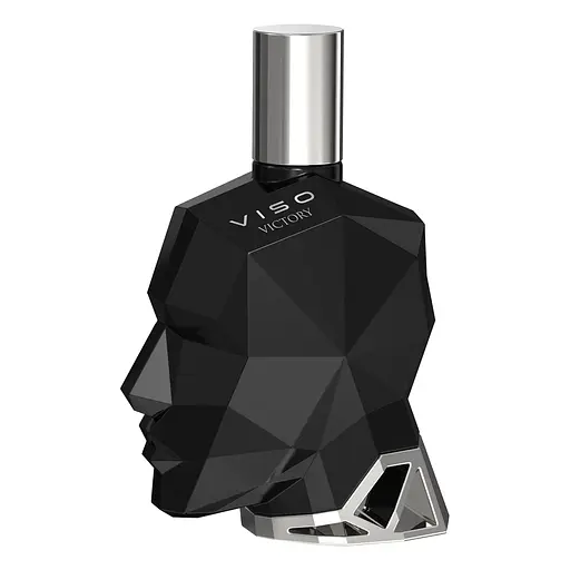 Парфюмированная вода мужская Camara Viso Victory 100 мл (MM41242)