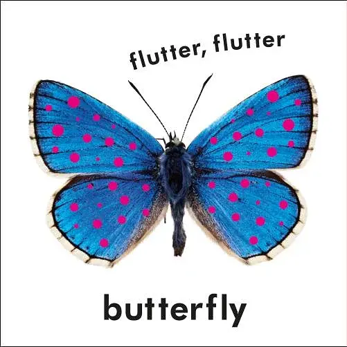 Baby Touch and Feel. First Words - фото 4