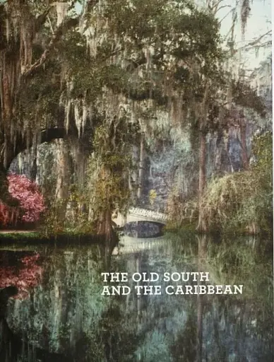 America 1900 - фото 5