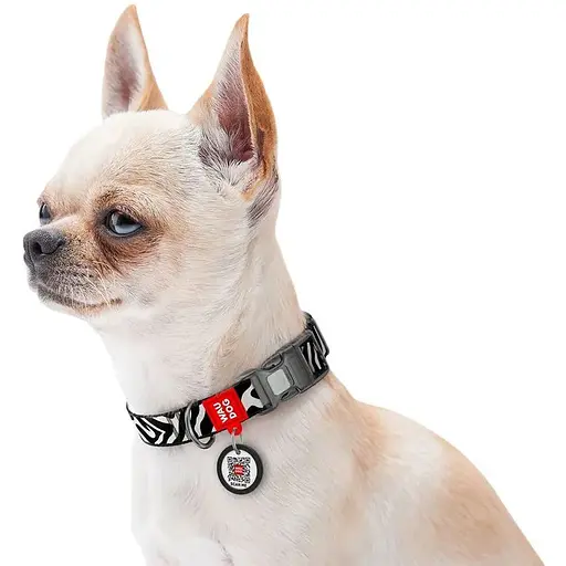 Нашийник для собак нейлоновий Waudog Nylon з QR адресником Зебра пластиковий фастекс  M 2х28-40 см - фото 5