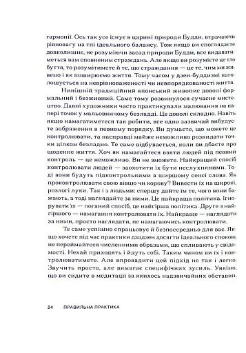 Свідомість Дзен. Свідомість початківця - фото 12
