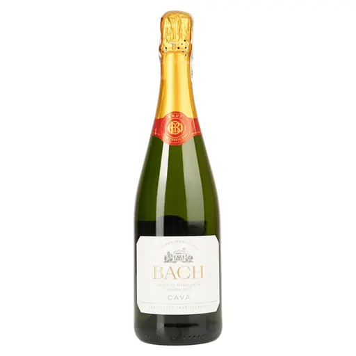 Вино ігристе Bach Cava Extrisimo Brut, біле, брют, 0,75 л - фото 1