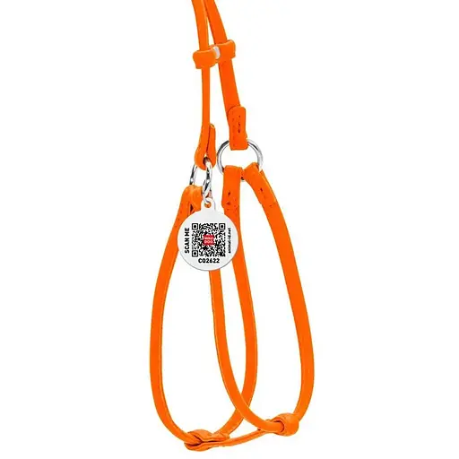 Шлея з повідцем для собак Waudog Glamour шкіряна з QR паспортом, кругла, помаранчевий - фото 2