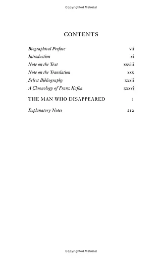 The Man Who Disappeared (America) - фото 3