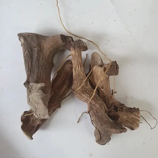 100 г диоскорея кавказская корень сушеный - свежий урожай