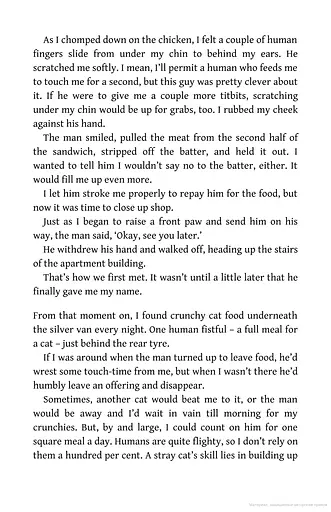 The Travelling Cat Chronicles - фото 4