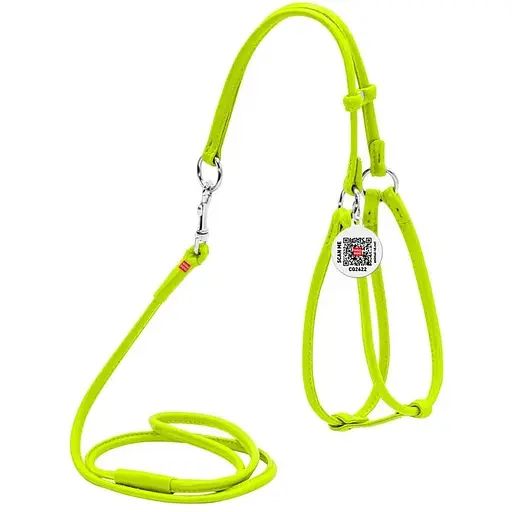 Шлея з повідцем для собак Waudog Glamour шкіряна з QR паспортом, кругла, салатовий