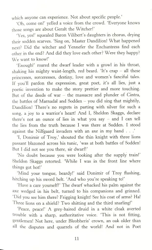 The Witcher. Blood of Elves - фото 10