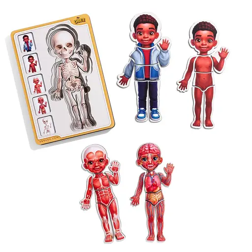 Дерев'яний пазл-вкладиш "Анатомія людини - хлопчик-3" Ubumblebees (ПСД262) PSD262 будова тіла - фото 1