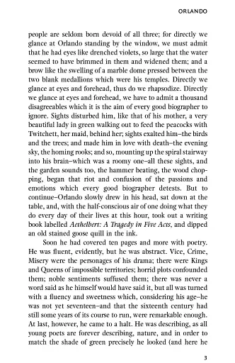 Orlando - фото 5