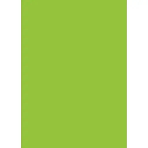 Бумага для дизайна Folia Tintedpaper А4 (21x29.7см) №50 салатовая 130г/м2 без текстуры