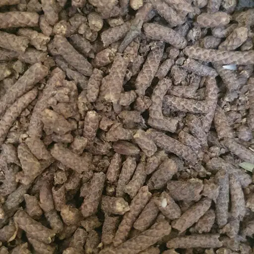 100 г береза сережки сушені - свіжий урожай