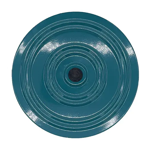 Диск здоров'я Newt NE-CZ-040 до 170 кг, метал - фото 1