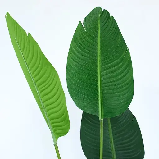 Штучна рослина Engard Banana Tree 155 см (TW-09) - фото 3