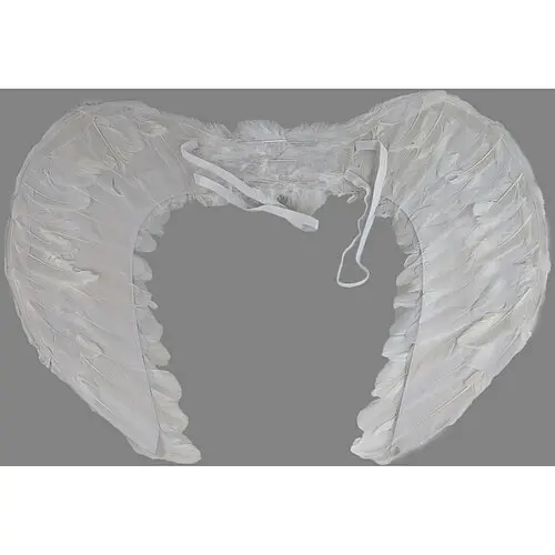 Крылья ангела - фото 2